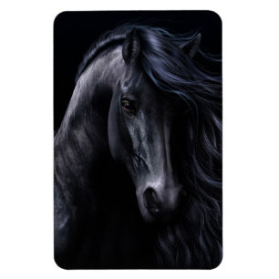 Íman O ímã preto Premium Flexi