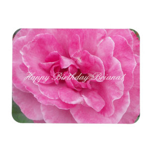 Íman O jardim cor-de-rosa aumentou