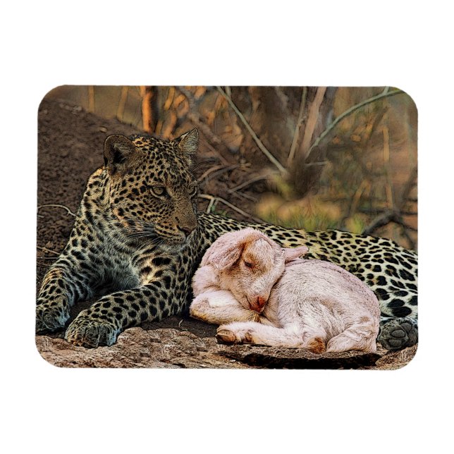 Íman O leopardo deve deitar-se com o borrego-Isaiah 11 (Horizontal)