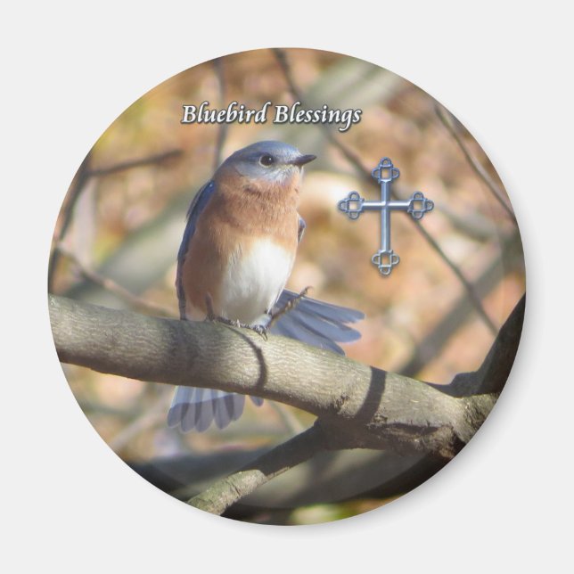 Íman O leste do Bluebird abençoa o ímã. (Frente)