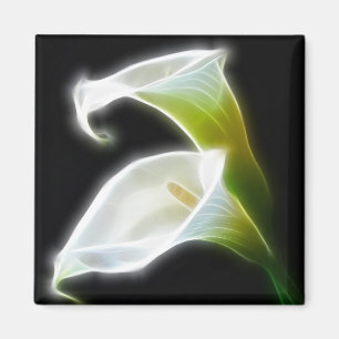 Íman O lírio de Calla elegante floresce 8 modernos