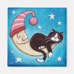 Íman O lugar mais seguro para um magnata de gato