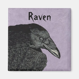 Íman O Magnet Raven