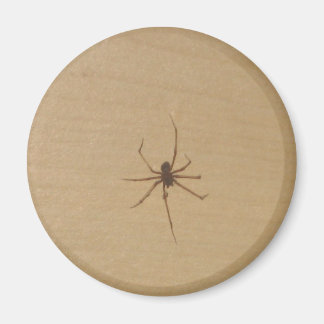 Íman O Magneta Aranha