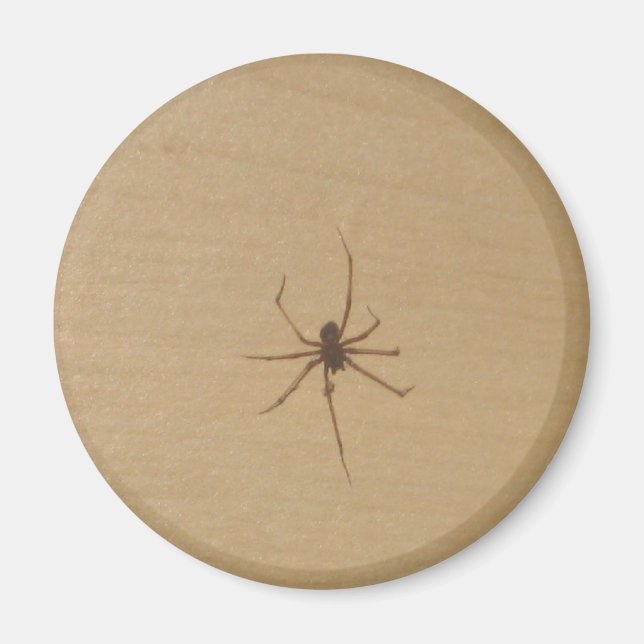 Íman O Magneta Aranha (Frente)