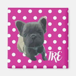 Íman O Magnete Louis - 20% de doação ao Expr de Emergên