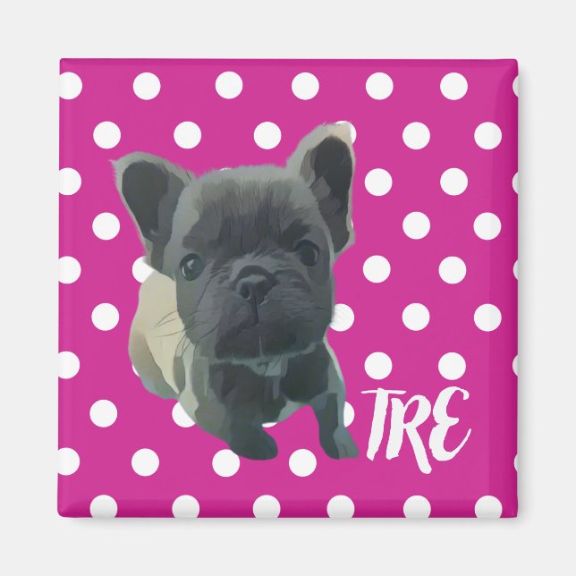 Íman O Magnete Louis - 20% de doação ao Expr de Emergên (Frente)