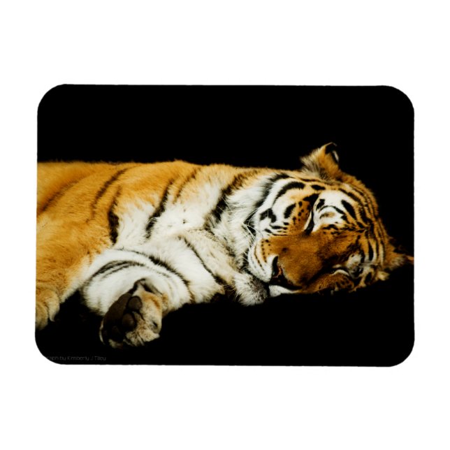 Íman O Magnete Premium de Amur Dormindo (Horizontal)