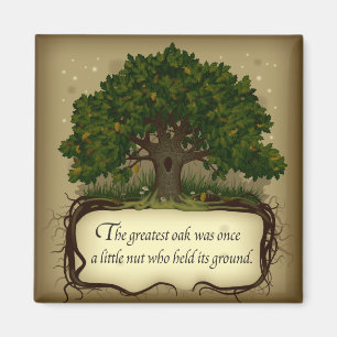 Íman O maior carvalho foi uma vez um pouco maluco que s