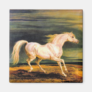 Íman O Marengo de Napoleon