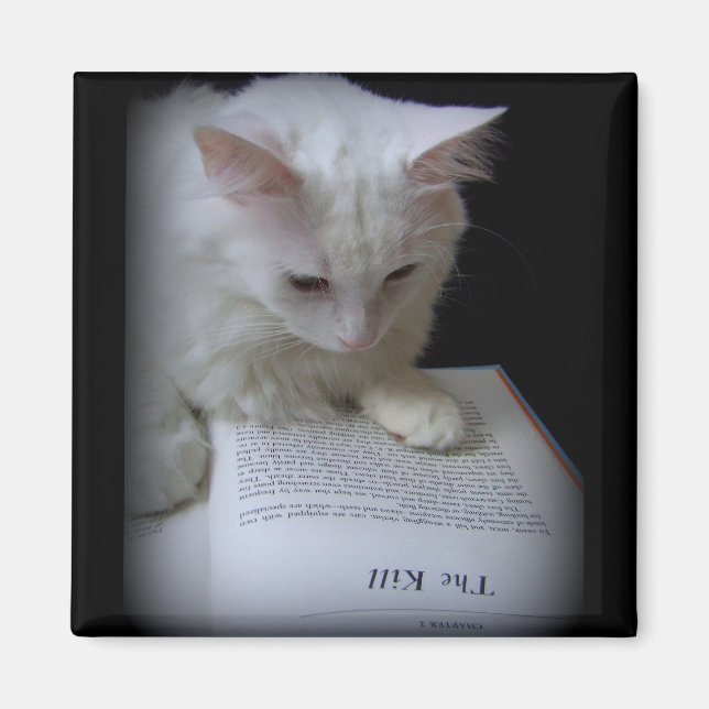 ÍMAN O MATAR (Frente)