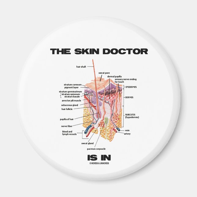 Íman O Médico Da Pele Encontra-Se (Atitude Dermatológic (Frente)