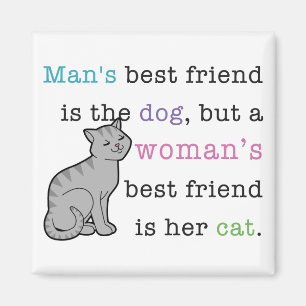 Íman O melhor amigo da mulher - seu gato