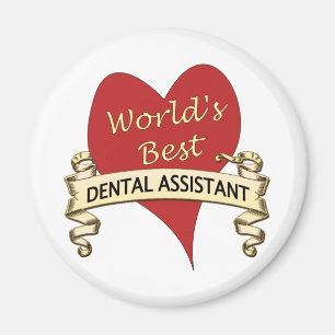Íman O melhor assistente dental do mundo