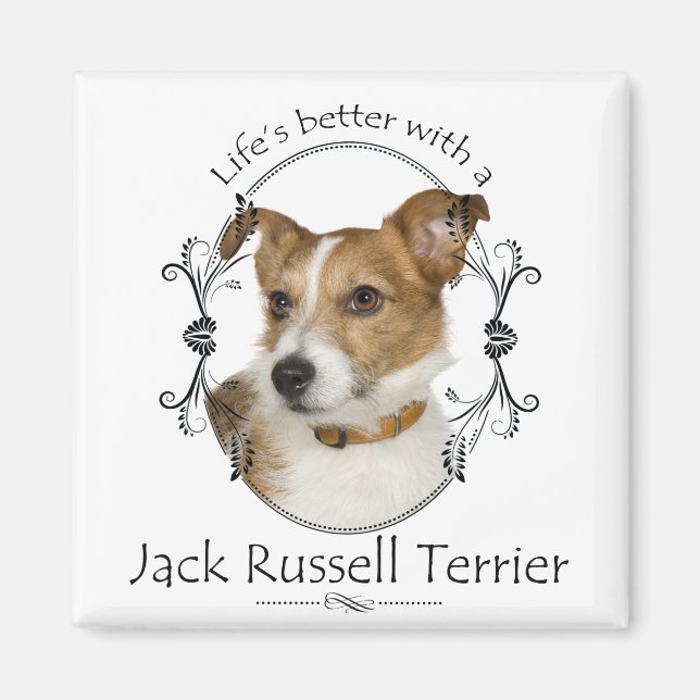 Íman O melhor Jack Russell Magnet (Frente)