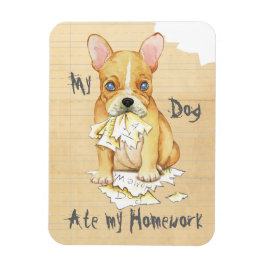 Íman O Meu Buldogue Francês Comeu A Minha Homework