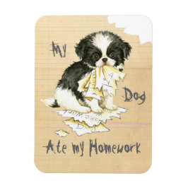 Íman O Meu Japonês Chin Comeu O Meu Trabalho De Casa