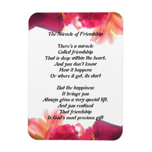 Íman O Milagre da Amizade Magnet