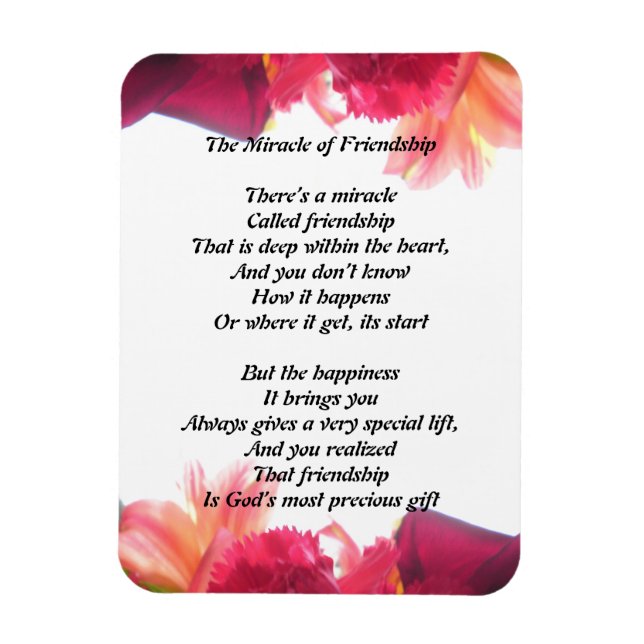 Íman O Milagre da Amizade Magnet (Vertical)