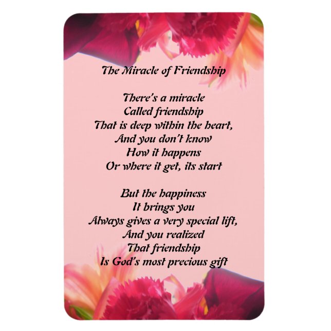 Íman O Milagre da Amizade Magnet (Vertical)