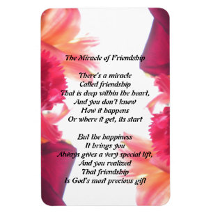 Íman O Milagre da Amizade Magnet