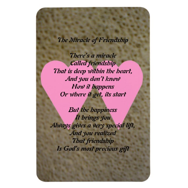 Íman O Milagre da Amizade Magnet (Vertical)