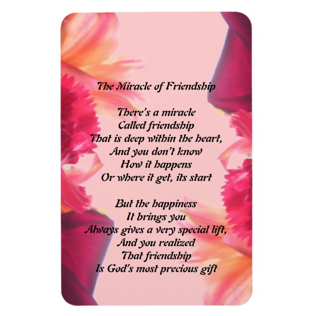 Íman O Milagre da Amizade Magnet (Vertical)