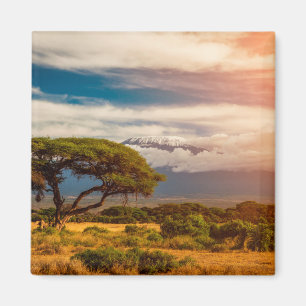 Íman O Monte Kilimanjaro   Amboseli, Kenya