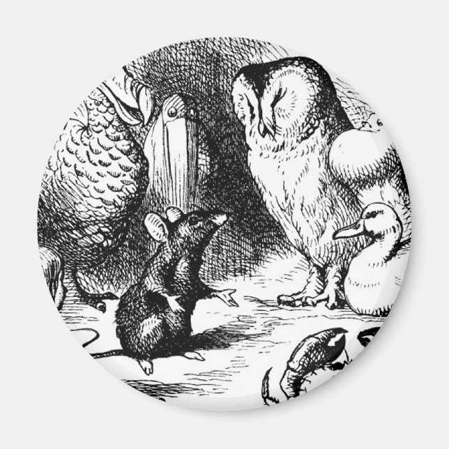 Íman O mouse e a história seca (Frente)