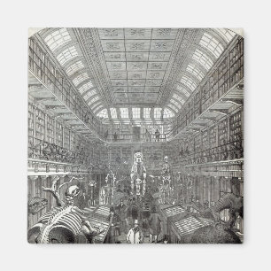 Íman O museu de Hunterian