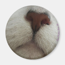 Íman O Nariz Conhece O Nariz Gato Nº 1