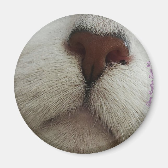 Íman O Nariz Conhece O Nariz Gato Nº 1 (Frente)