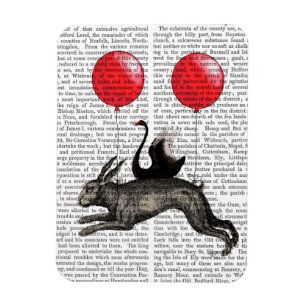 Íman O navio de lebre