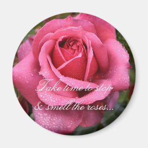 Íman O orvalho beijou o rosa do rosa!