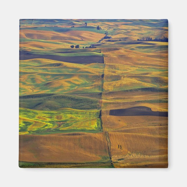 Íman O Palouse a partir de Steptoe Butte, Colfax, (Frente)