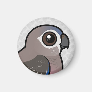 Íman O papagaio de Bourke