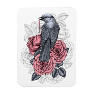 Íman O pássaro com a chave prateada