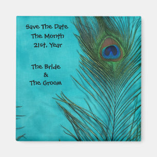 Íman O pavão do Aqua empluma-se ímãs do casamento