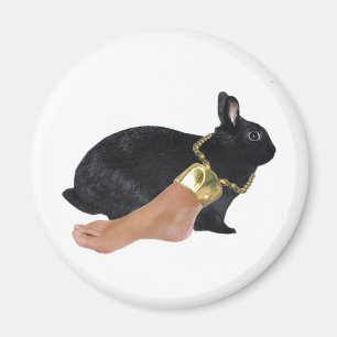 Íman O pé de ser humano afortunado
