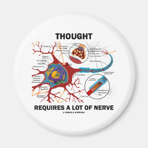 Íman O pensamento exige muito nervo (a sinapse)
