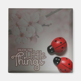 Íman O pequeno ímã quadrado de 2 polegadas