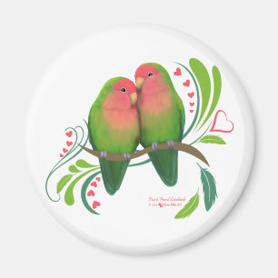 Íman O pêssego enfrentou pássaros do amor