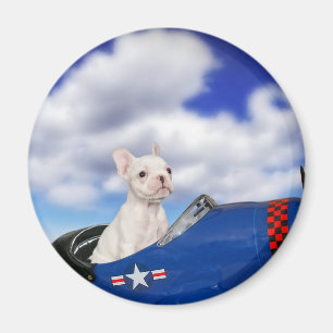 Íman O piloto pequeno