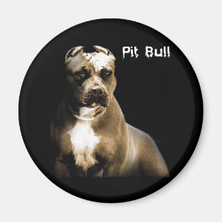 Íman O PITbull