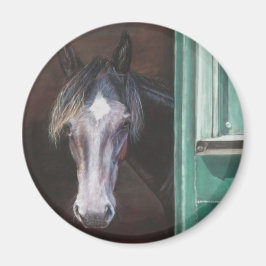 Íman O poço da Baía está a sair do celeiro