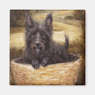 Íman O poderoso Magneto Companion