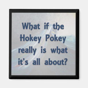 Íman O Pokey de Hokey… que se?