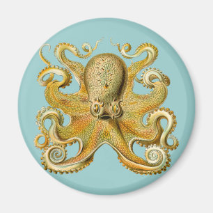 Íman O polvo de Ernst Haeckel