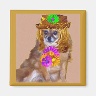 ÍMAN O POM DE FLORES