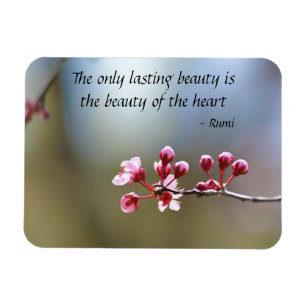 Íman O primavera floresce beleza